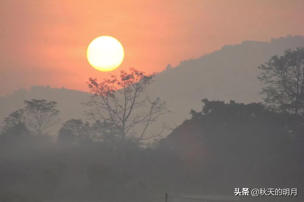 小孩梦见蛇是什么征兆_小孩梦见妈妈死了_梦见小孩