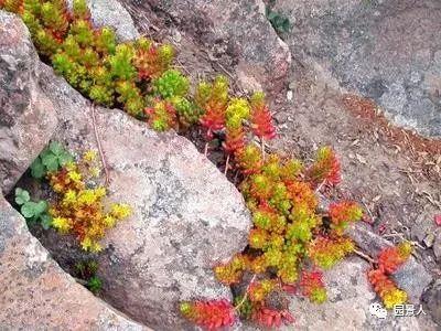 别墅风水屏风墙效果图_别墅风水屏风墙图片大全_别墅屏风墙风水