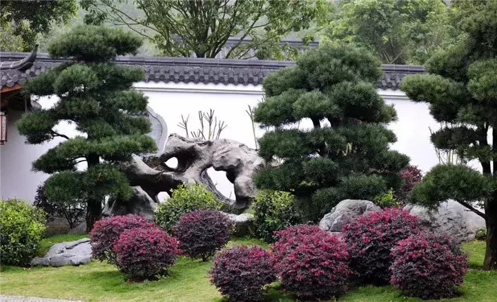 风水石头_石头风水作用_风水中石头有什么讲究