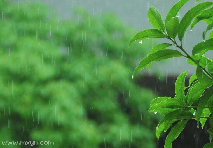 梦见下小雨是什么意思有什么预兆