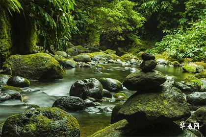 房前屋后风水_前后房屋风水主要看什么位置_房风水屋前后摆什么好